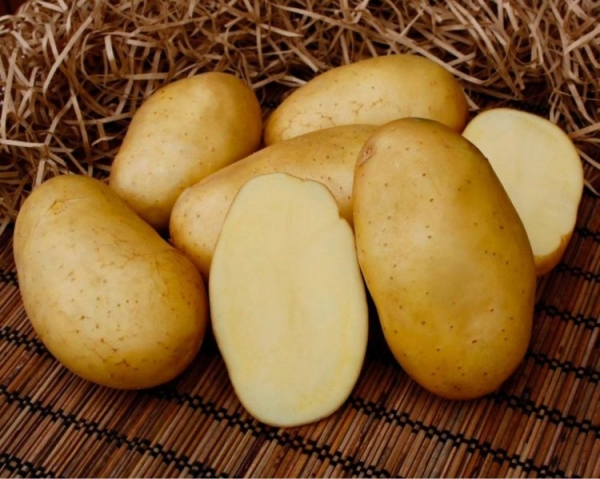 Картофель