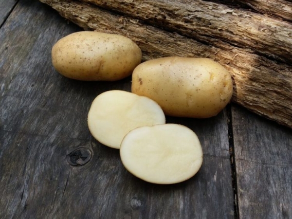 Картофель