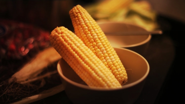 Кукуруза