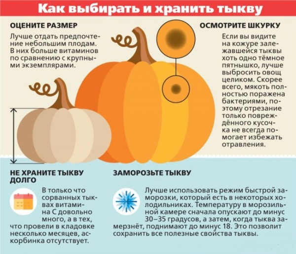 Тыква