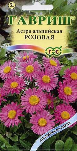 Астра альпийская