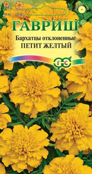 Бархатцы