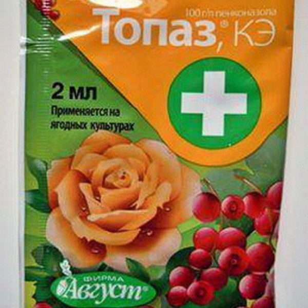 Болезни клубники