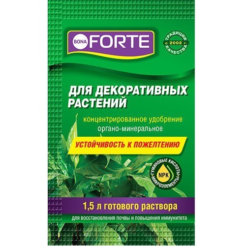 Чем подкормить фикус?