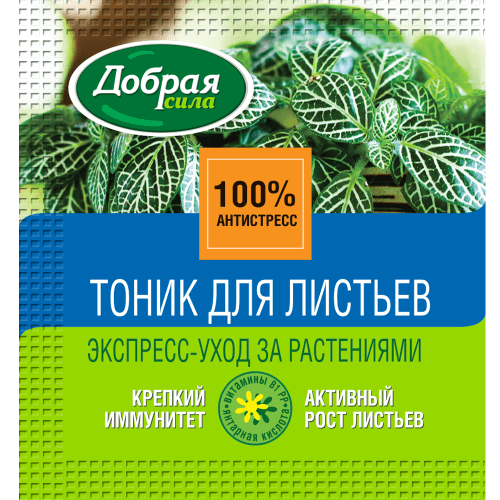 Чем подкормить фикус?