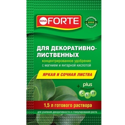 Чем подкормить фикус?