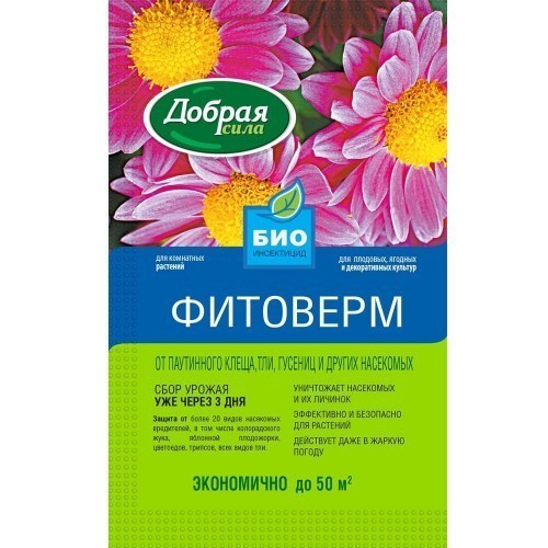 Паутинный клещ на комнатных розах &mdash; причины и что делать?