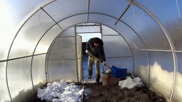 Шпаргалка на февраль &mdash; важные садово-огородные дела