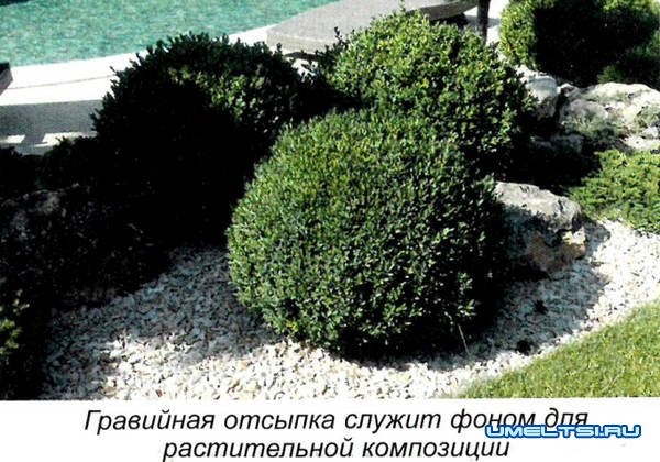 Гравийный сад: технология построения