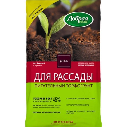 О рассаде сладкого перца простым языком