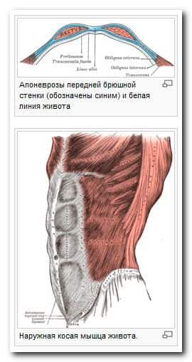 Самомассаж живота в бане
