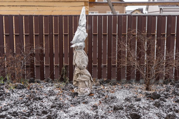 Шпаргалка на март — важные садово-огородные дела Шпаргалка на март — важные садово-огородные дела