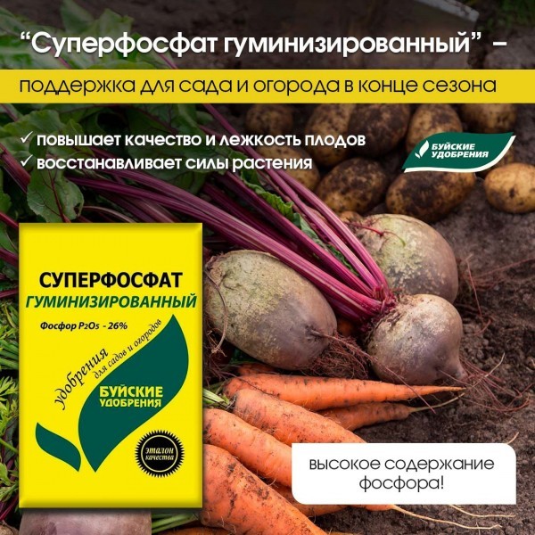 Календарь подкормок овощей &mdash; от семян до урожая