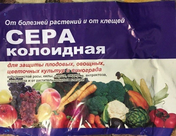 Лечение ржавчины яблони