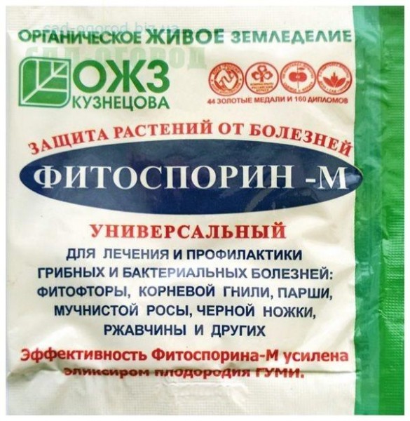 Лечение ржавчины яблони