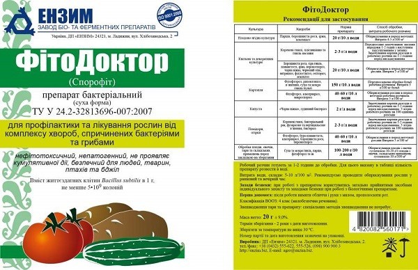 Лечение ржавчины яблони