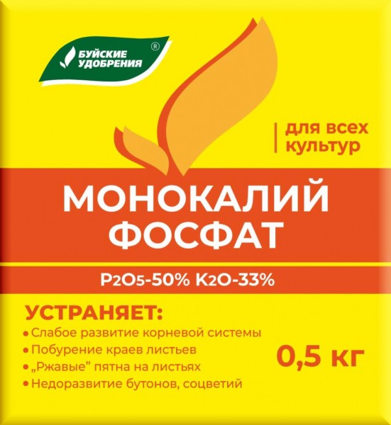 Рододендроны &mdash; нюансы выращивания в открытом грунте