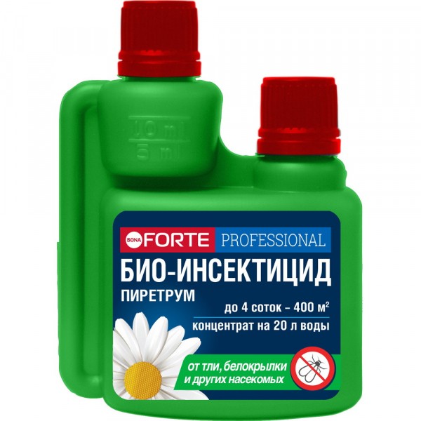 Как избавиться от паутинного клеща?