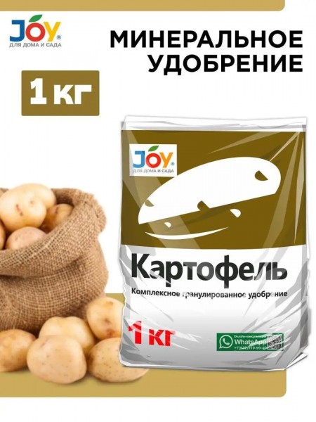 Как увеличить урожай картофеля? Пошаговый уход от удобрений до инсектицидов