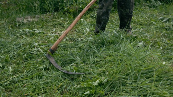 Как правильно заготовить сено на зиму?