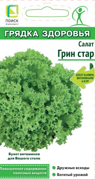Листовой салат &mdash; выбираем сорт по вкусу и пользе