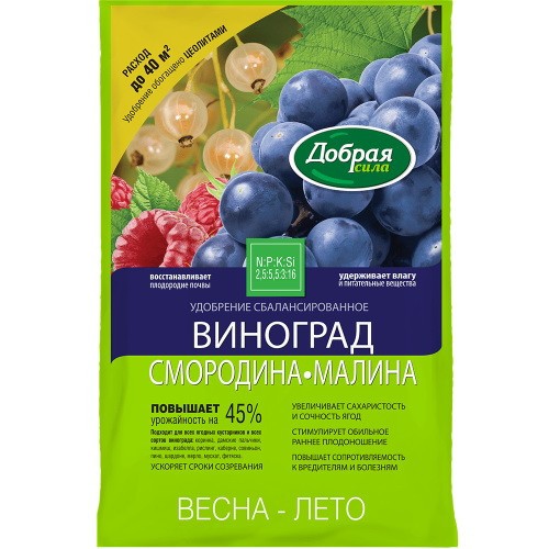 Обрезка винограда летом: что нужно знать для лучшего урожая