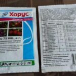 Как бороться с паршой на яблоне