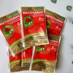 Как бороться с паршой на яблоне
