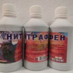 Как бороться с паршой на яблоне