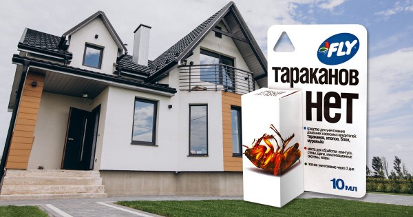 Как очистить самые грязные места участка &mdash; от септика до тараканов в доме