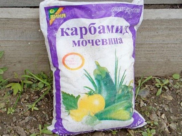 Обработка яблонь осенью