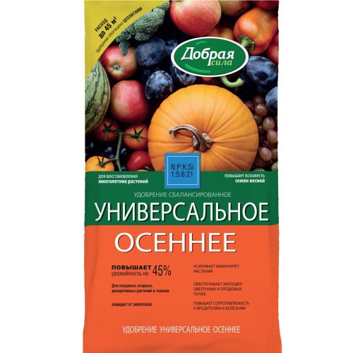 Что обязательно нужно знать о посадке цветов осенью
