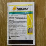 Декоративная калина Бульденеж с белыми цветами шарами