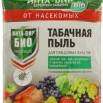 Декоративная калина Бульденеж с белыми цветами шарами