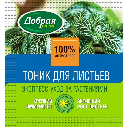 Прекрасные, но опасные. Какие ваши комнатные растения ядовиты?