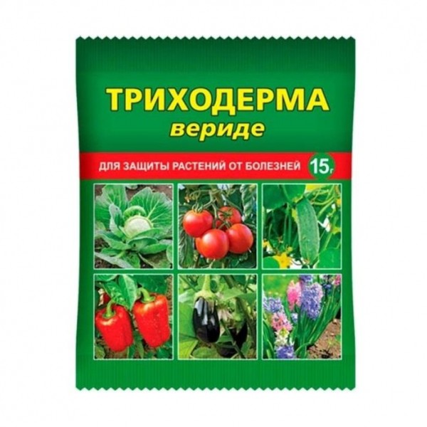 Триходерма Вериде