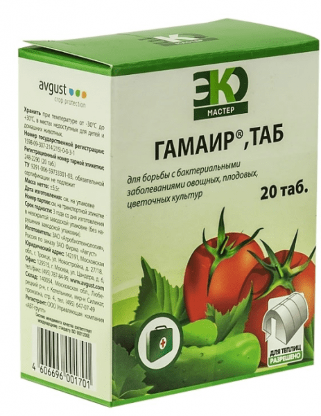 Гамаир