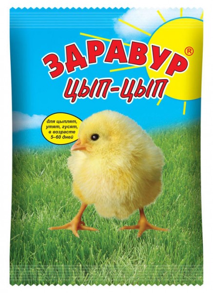 Не остаться без лап: почему у куриц отказывают ноги и как это предотвратить