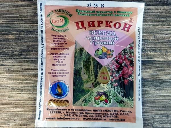 Сорт Яблони Янтарь Сорт Яблони Янтарь