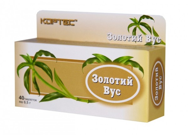 Золотой ус Золотой ус