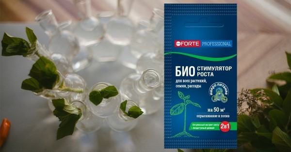 Подробная инструкция по черенкованию гортензий Подробная инструкция по черенкованию гортензий